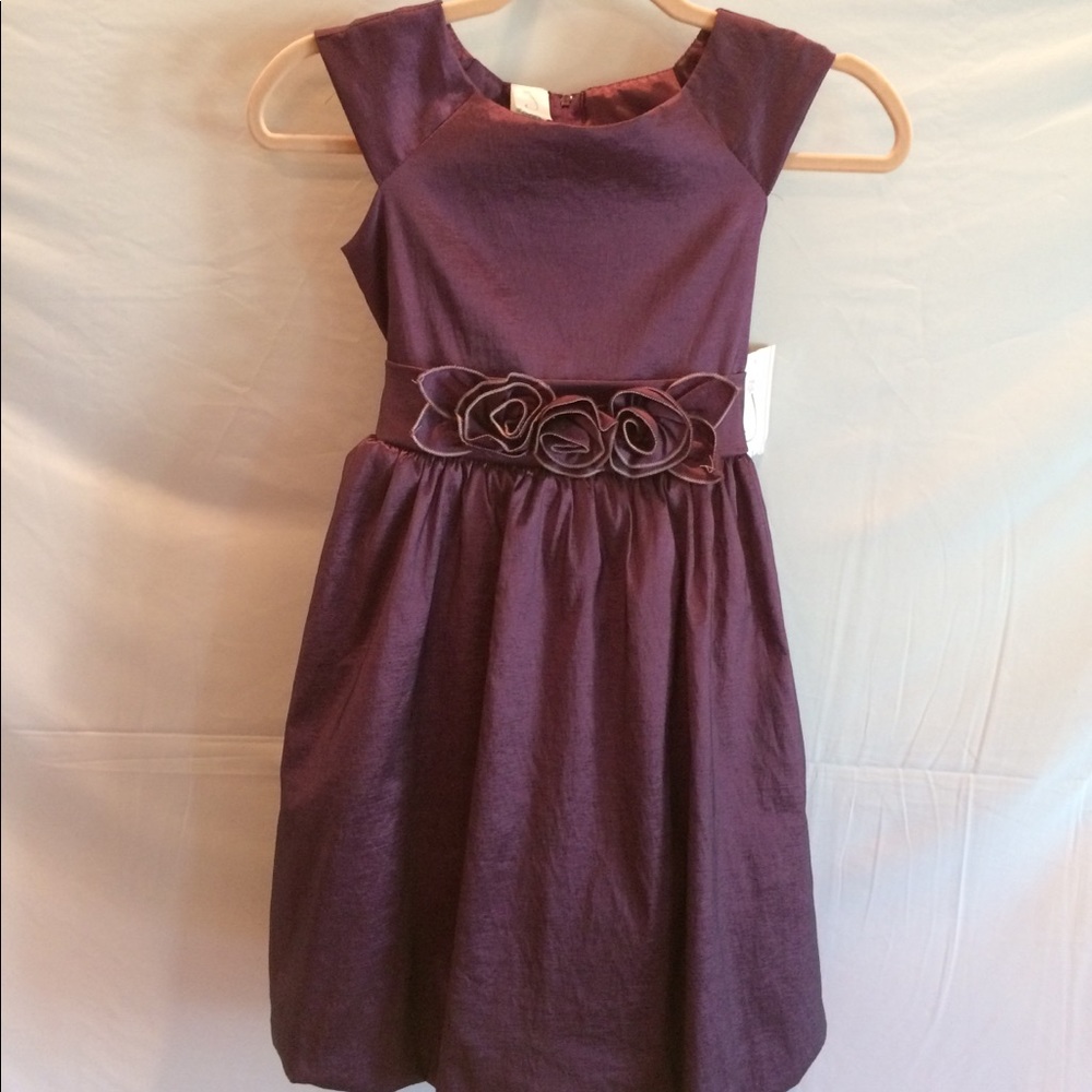 Size 10 Girls Julia Lee Purple Dress